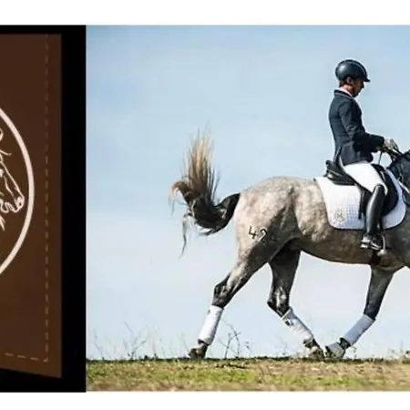 Beachfront- Junto A La Playa Y Con Impresionantes Vistas Al Mar Apartamento *